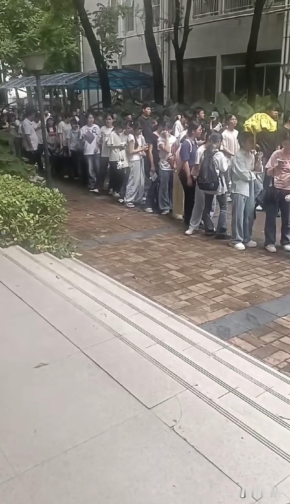 这都是谁家的心肝宝贝，不知道父母知道会不会心疼，她们正在排队面试进厂打螺丝。
在