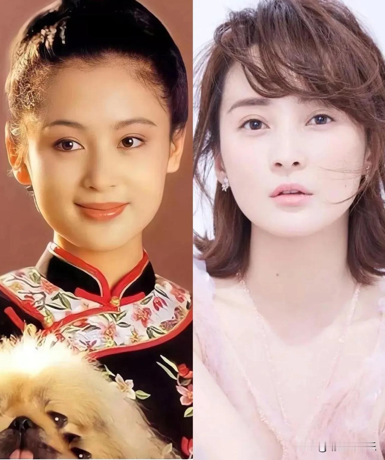 论颜值，陈红输了，
论身材，陈好输了，
论气质，蒋勤勤输了，
论演技，陈好出道以