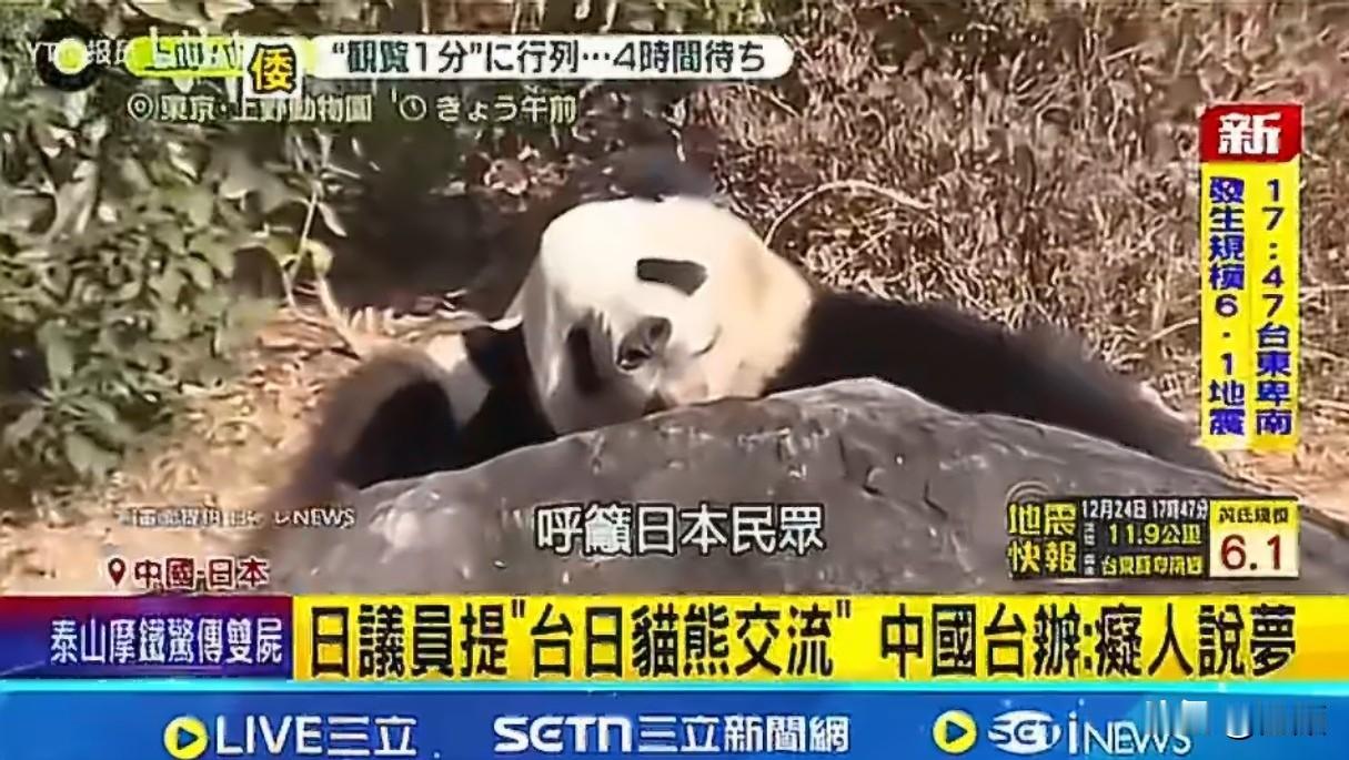 日本政客想从台湾“拿”熊猫，民进党妄称“大陆管不着”！
2005年说起。时任国民