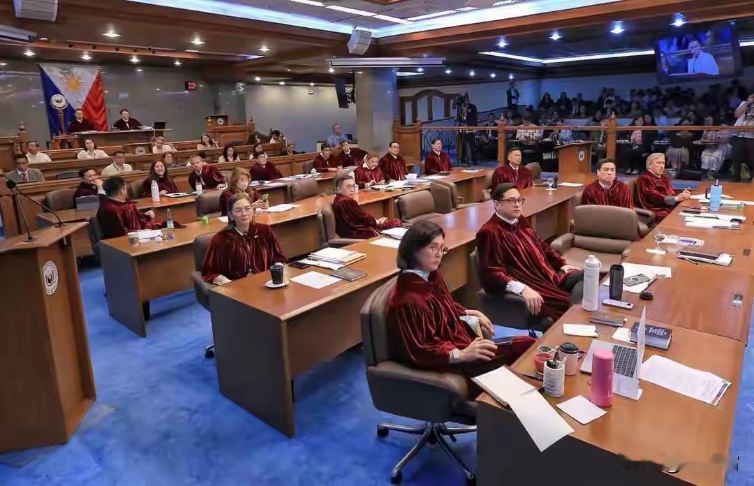 差生文具多？恰恰相反，皮娅·卡耶塔诺是参议院绝无仅有的法学和社会学专家，她平时电