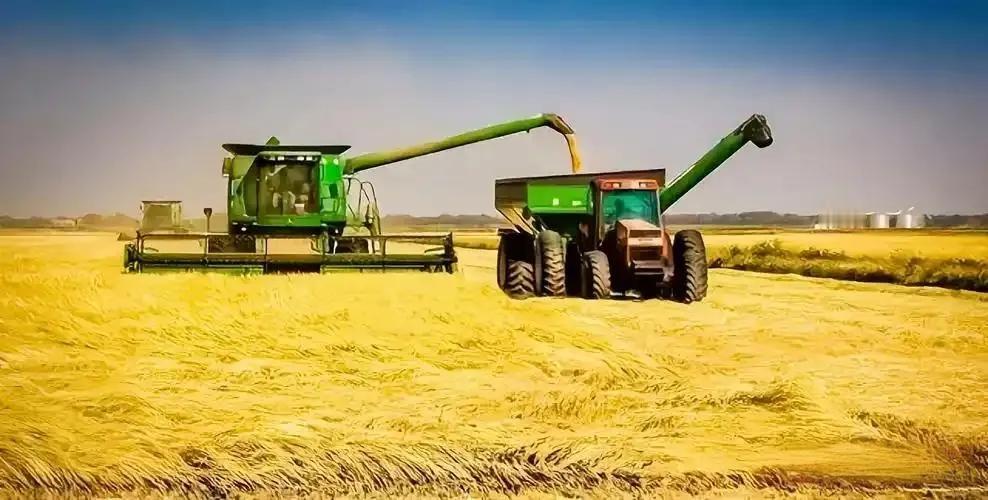 全球粮仓：探秘农业最发达的十个国家

从辽阔平原到精巧温室，从现代化机械到前沿生