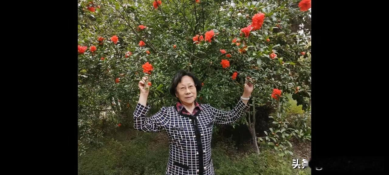 人要是出名了祖宗八代都跟着沾光，谷爱凌这次又获得了U型场地的金牌，她的故事又开始