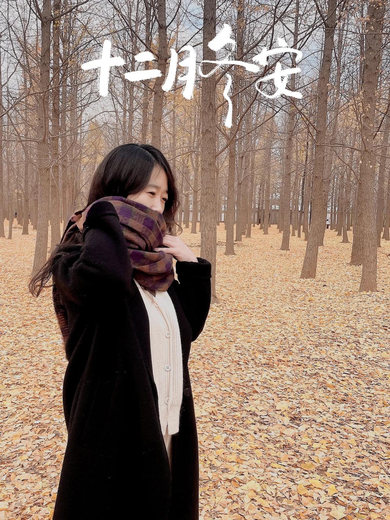 十二月冬安
12月等烟火，等雪落，愿在岁月的转角，遇见最好的你我[玫瑰]🌹秋冬