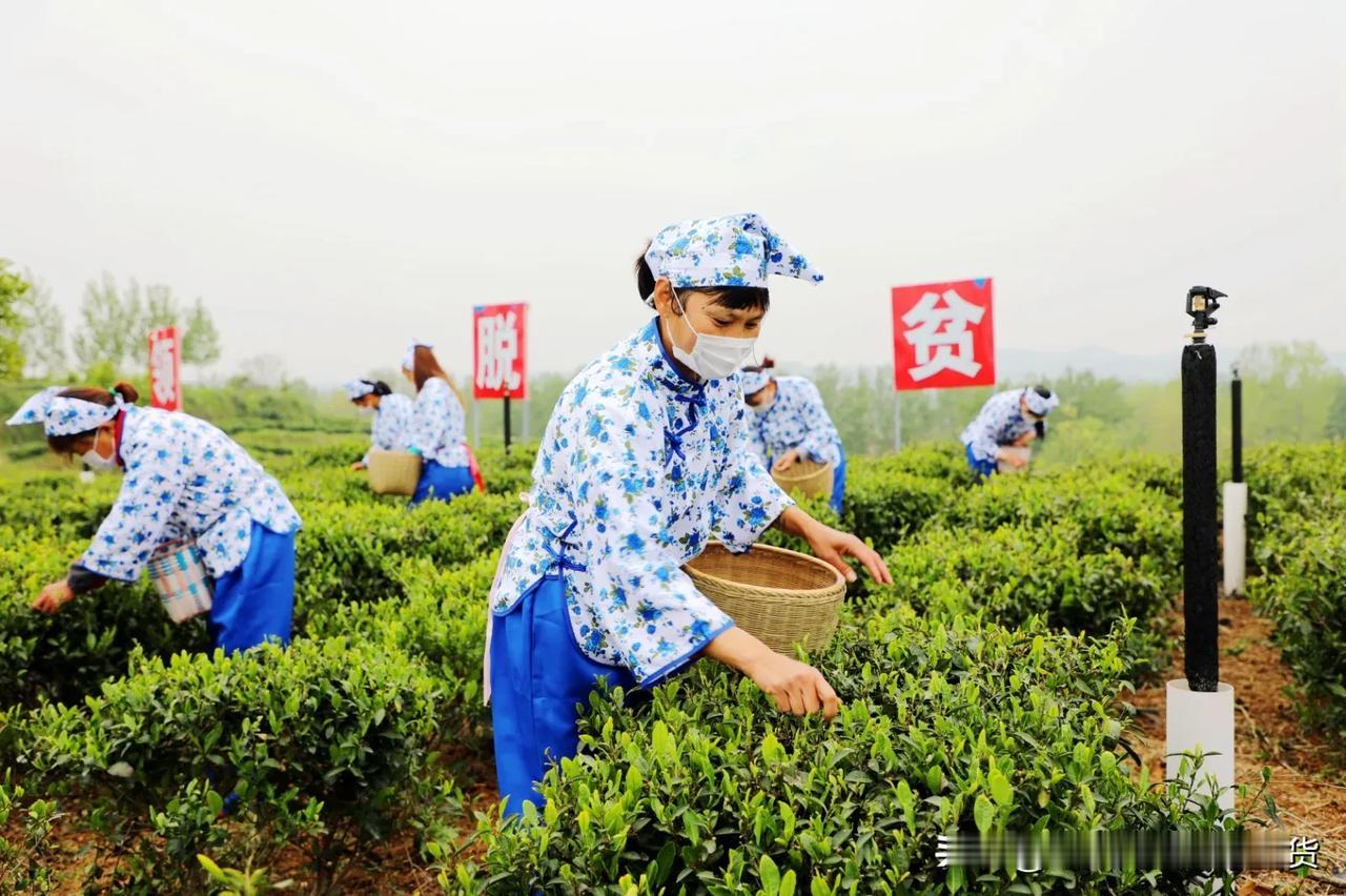 一句话分享今日感悟但行好事莫问前程；天道轮回顺势而为。（南阳市内乡赤眉镇琴溪湖农