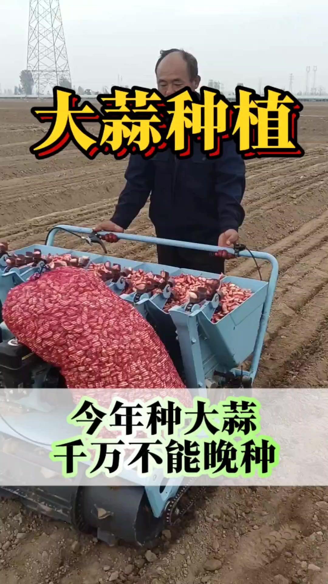 今年种大蒜的老乡注意啦，千万不能晚种，谁晚种谁后悔！首先是因为今年是双春年，闰六