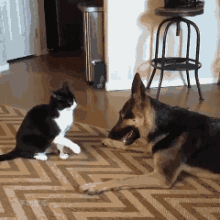 我反手就是给你一个爱的亲亲[笑cry]