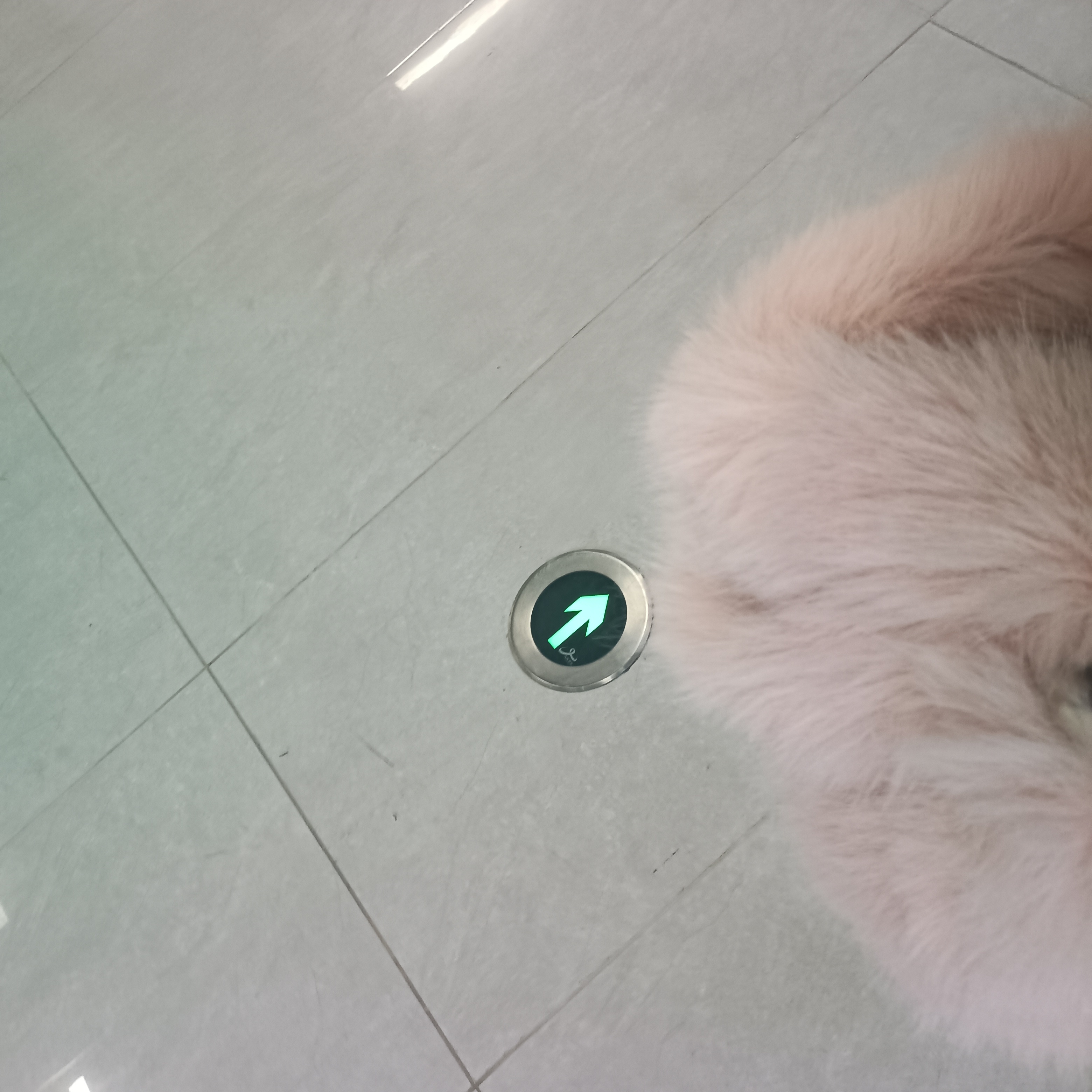 自己一个人逛就是爽哈 遇见喜欢的东西直接就可以买嘻嘻[彩虹屁] 对这些毛茸茸的没