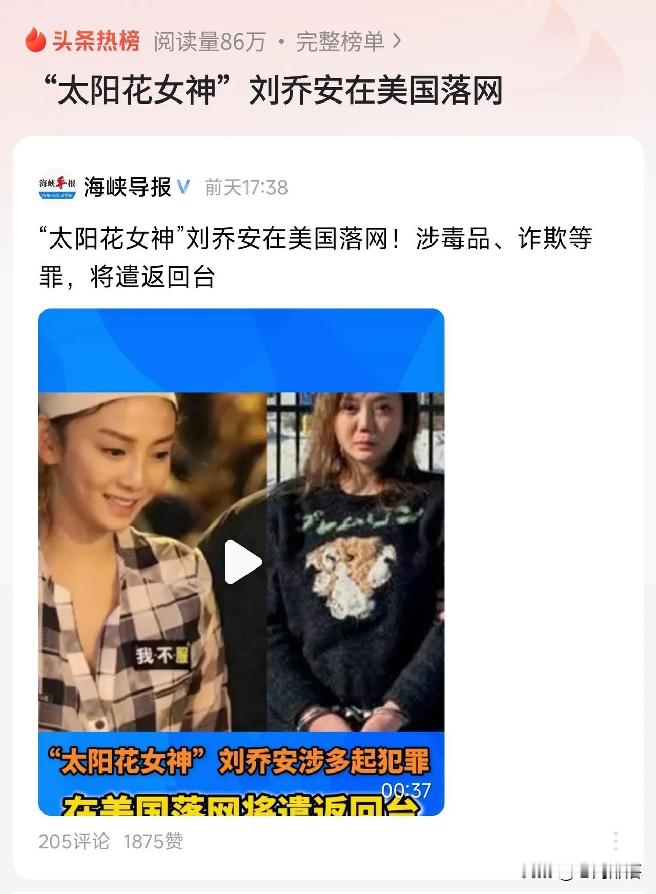 从“太阳花女神”到落网罪犯
    刘乔安，这个2014年台湾“太阳花”运动的红