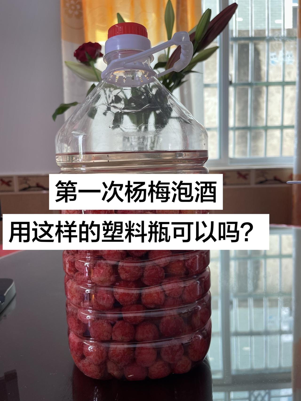 自制杨梅泡酒 杨梅泡酒正当时 新鲜杨梅泡的酒 杨梅泡酒