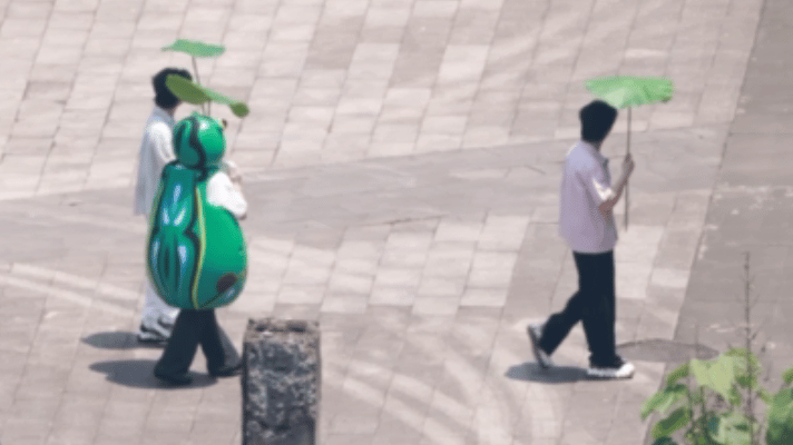 双高胎送酷滕的桃花币被打假五十公里桃花坞 从满怀期待到瞬间心碎只需要一瞬间，酷滕