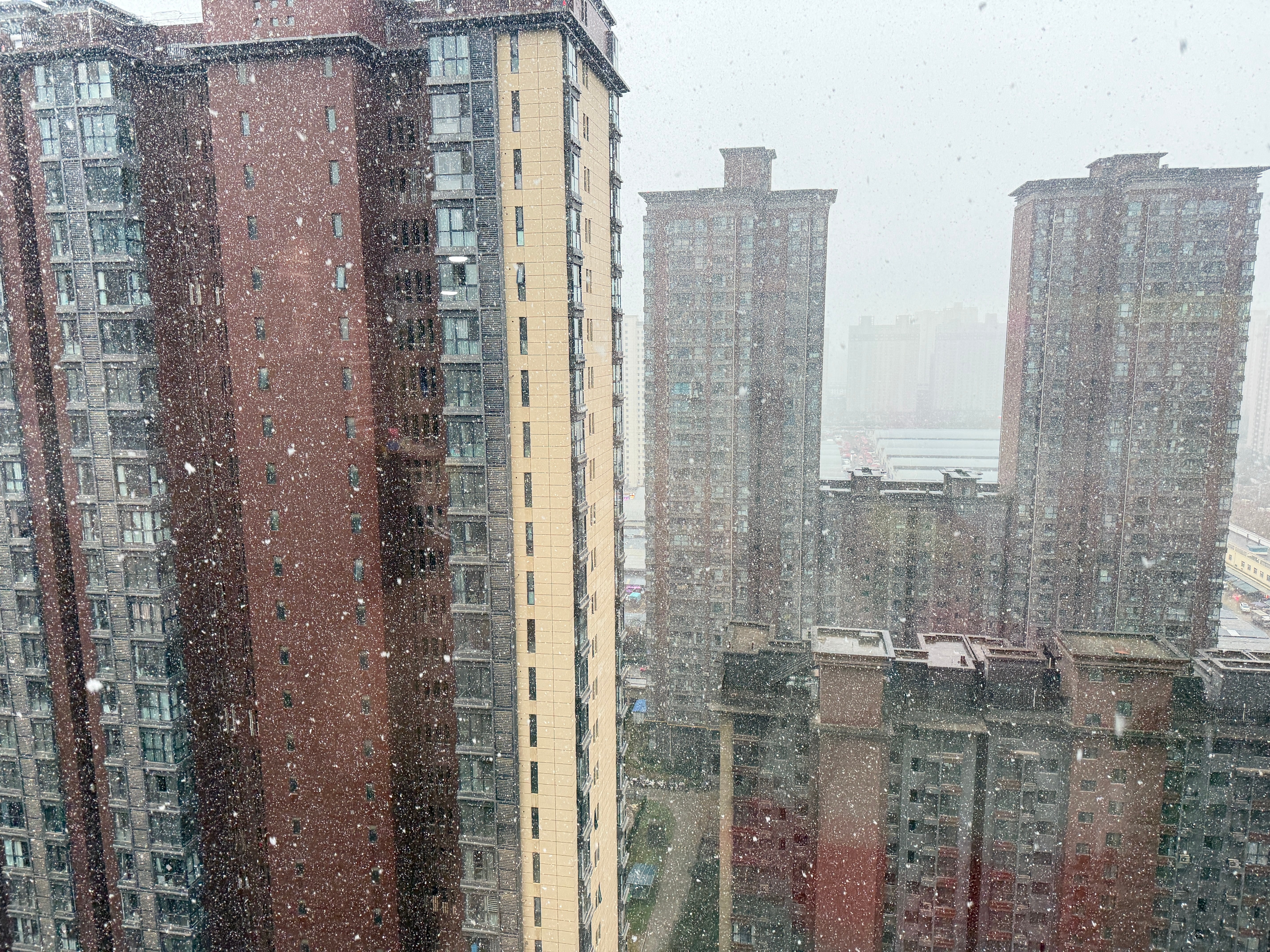 西安大雪     西安今天的雪真大 