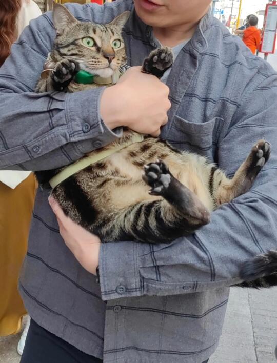 🇭🇰阻B走到隔離藥房，藥房哥哥遣返佢入去