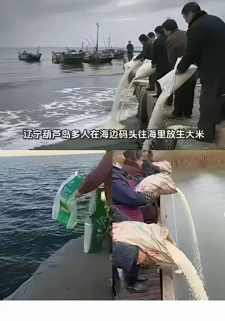 这两年我真是服了，前几年有放生鱼放生鳖，那还能说的过去，可是这两年有放生大米放生