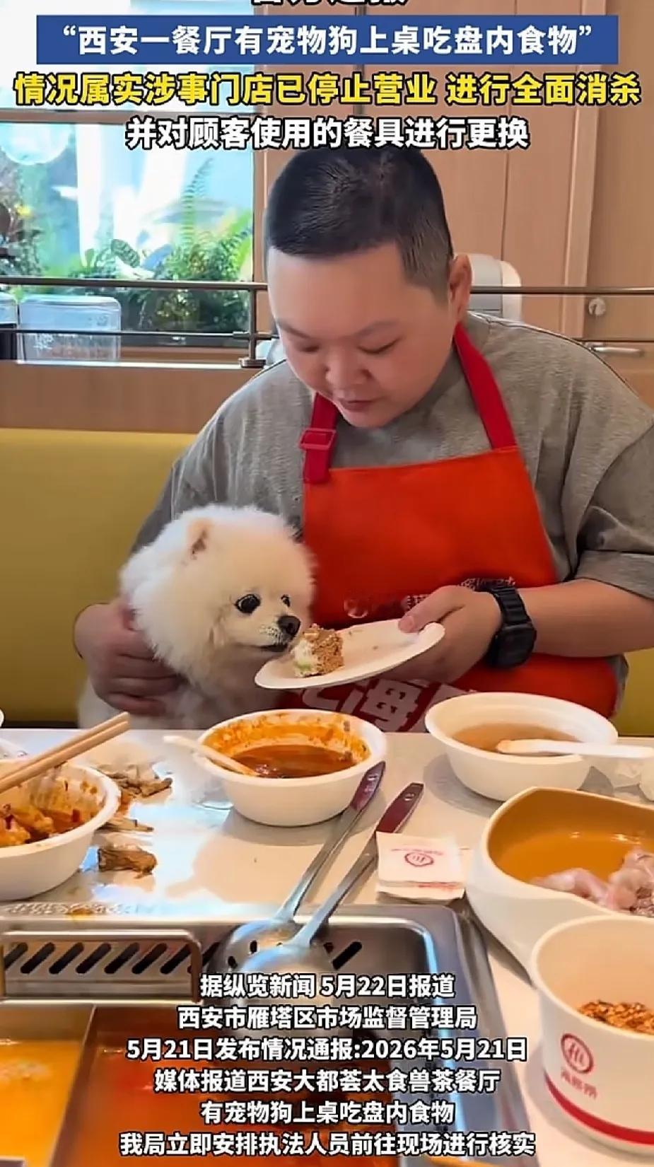 5月21日，西安太食兽茶餐厅出事了。一个女顾客把白狗抱上餐桌，直接用人吃饭的餐盘