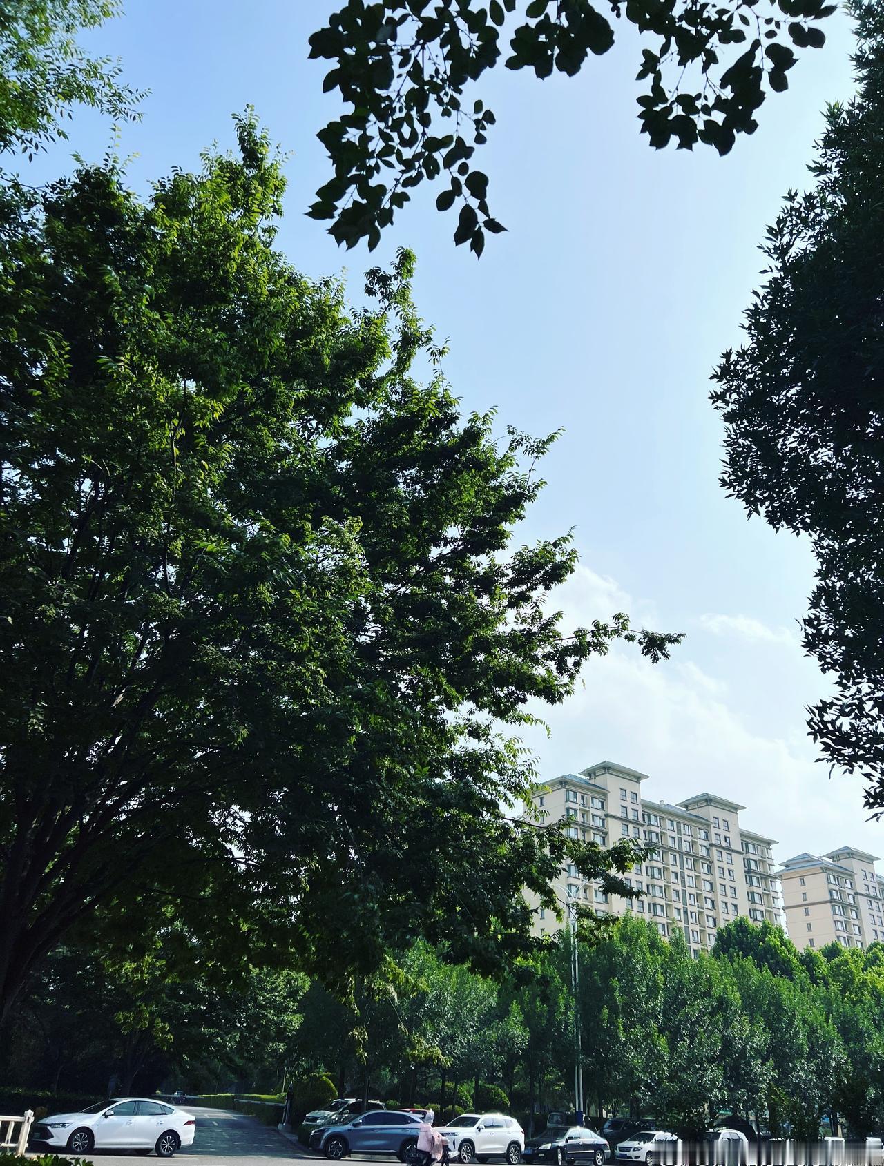 “三次提离婚都没离成”：这才是婚姻最真实的模样

婚姻中，谁没闪过无数次“掐死对