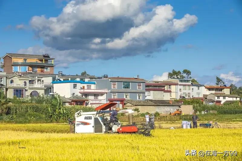 某些住在城郊结合部的“农民”，他们的土地被征收了，拿着巨额的征收款住进了大别墅，