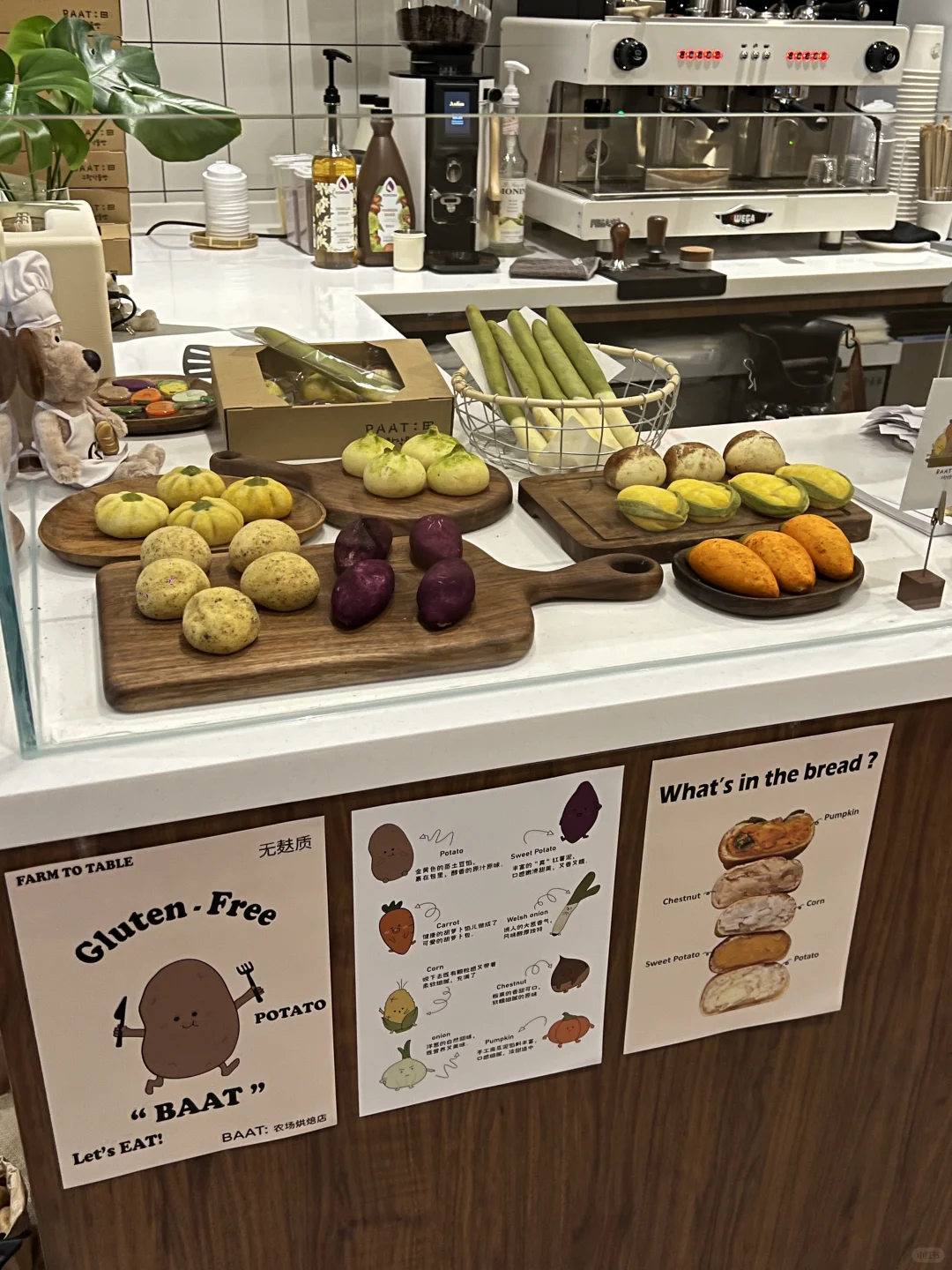 上海新店｜面包界的jelly cat？🌰🥔🥕🎃