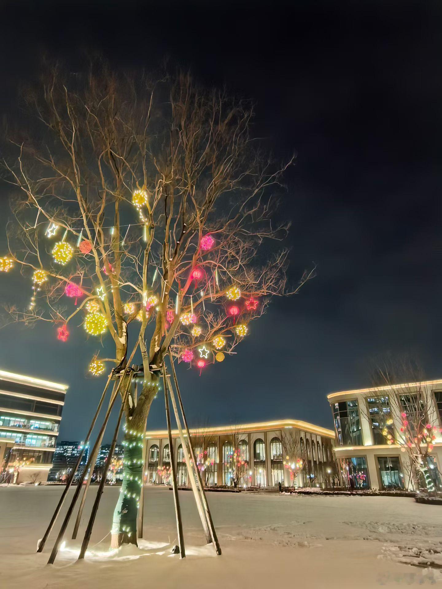 阳光信用作家三毛说过："世上的喜剧不需要金钱就能产生，世上的悲剧大半和金钱脱不了