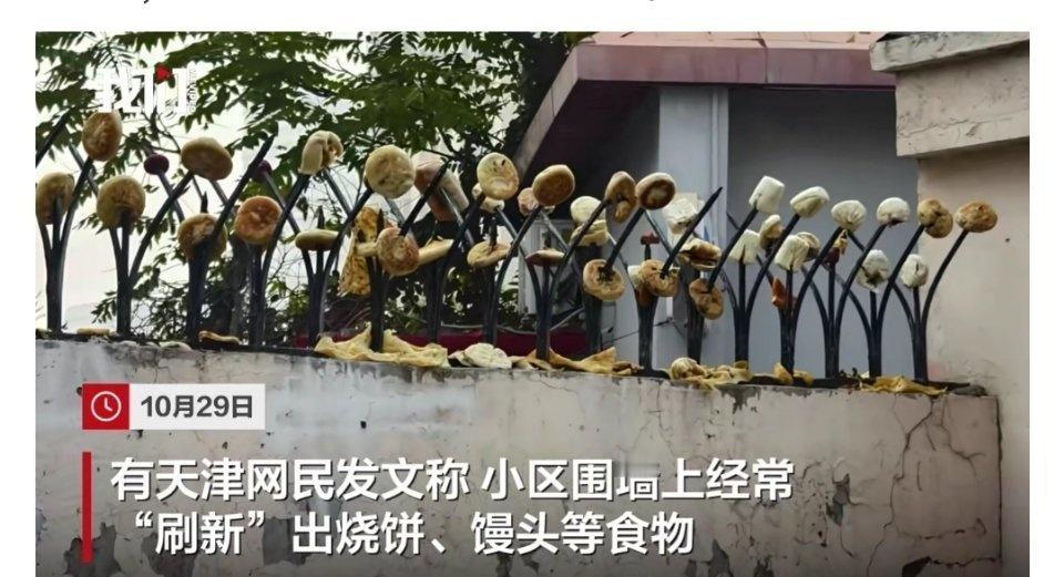 不怕引来老鼠蟑螂苍蝇吗？