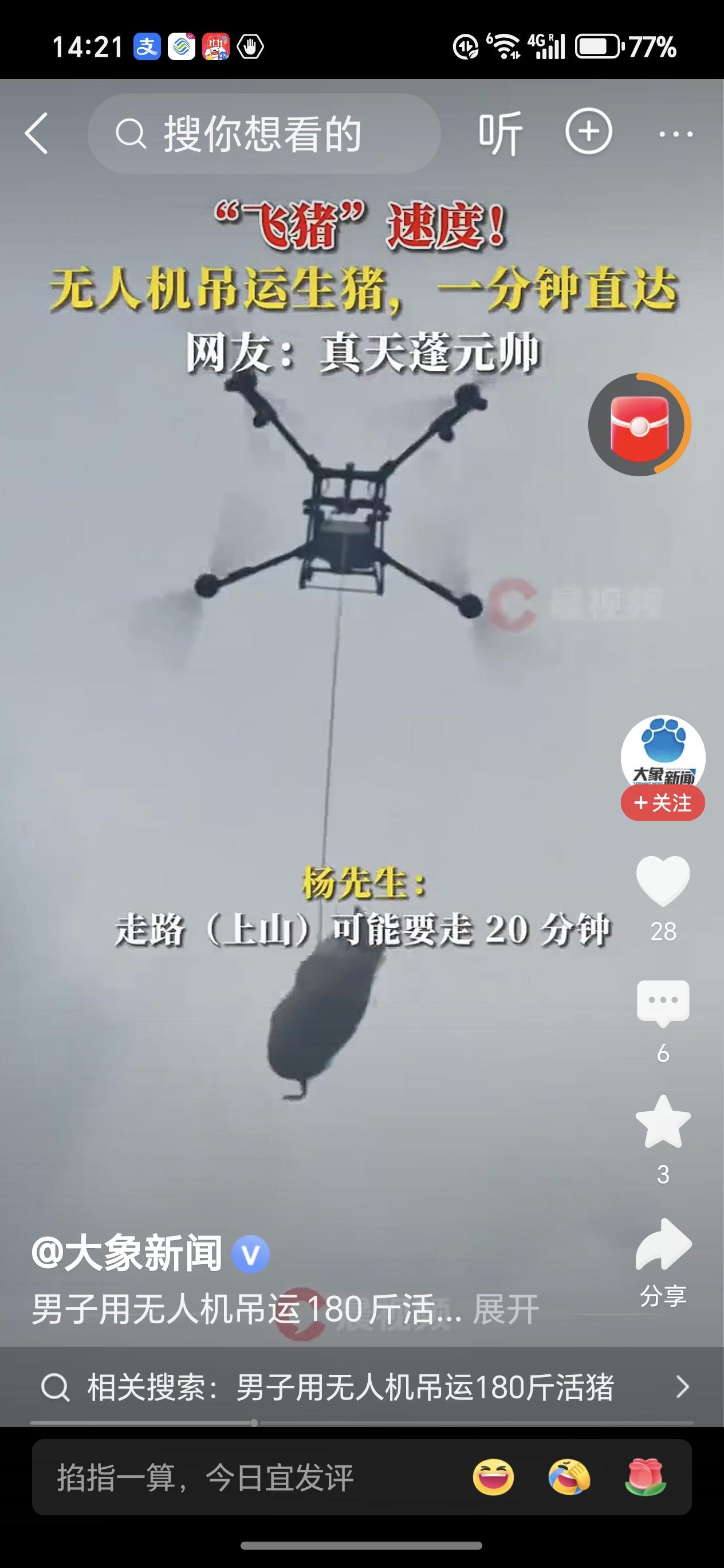 男子用无人机吊运180斤活猪广西百色一位先生创新运输方式，用无人机吊运180斤的