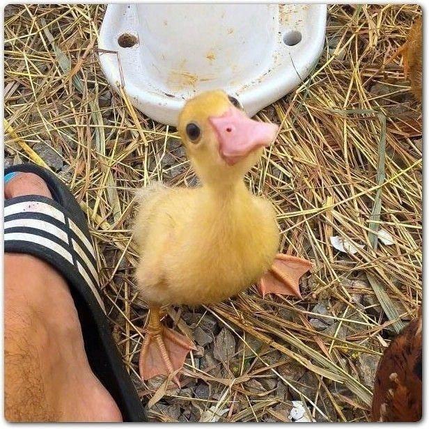 要继续加油鸭！