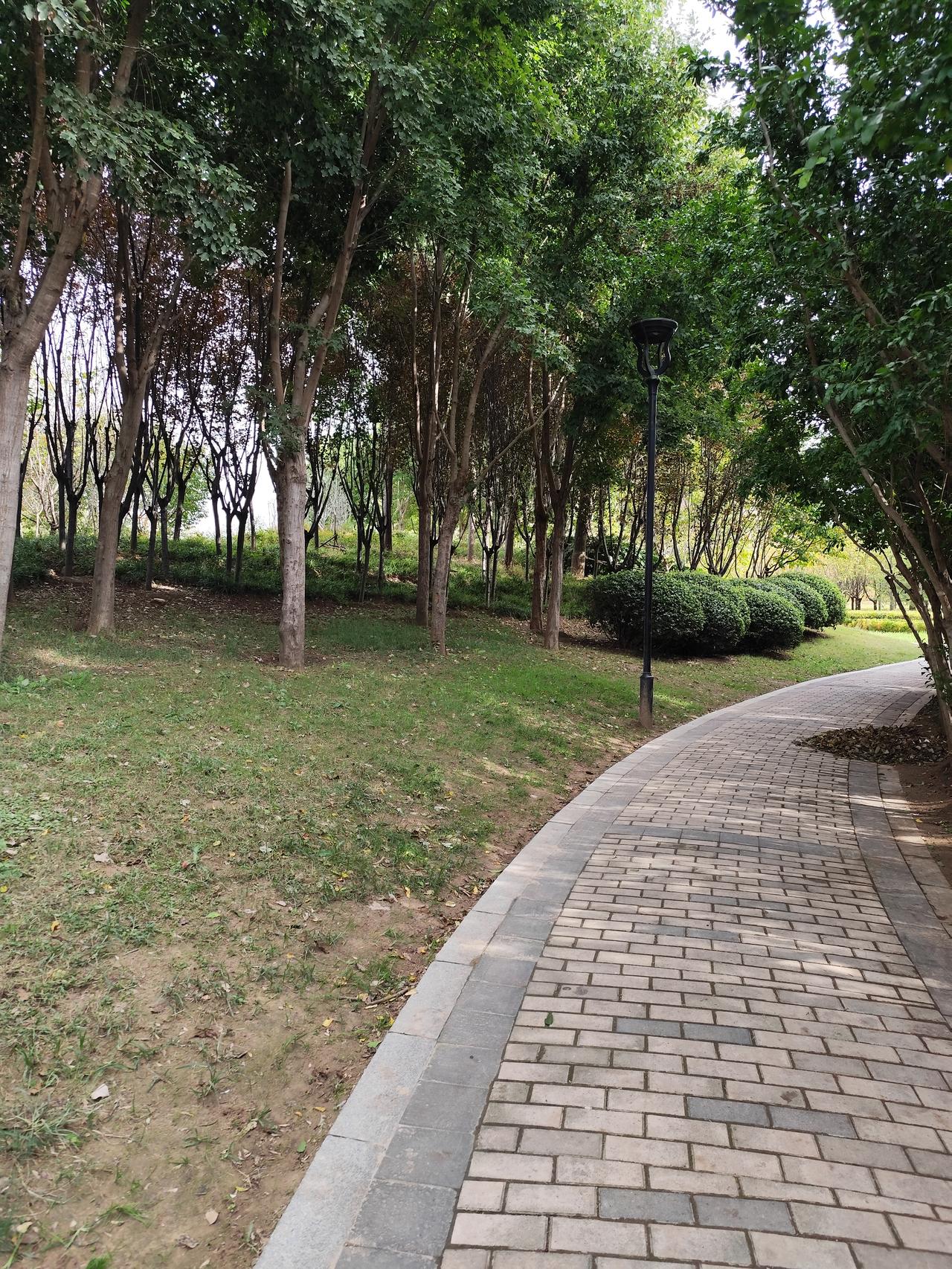 如果你现在正处在人生的暗处，觉得一件事还没完，下一件苦难又接踵而至，觉得生活压得