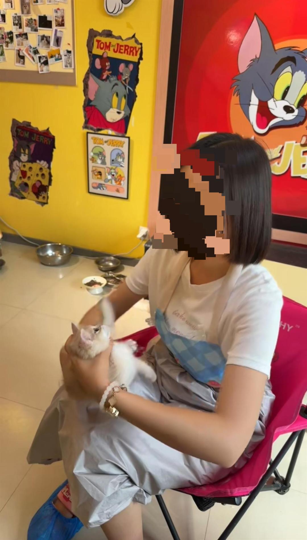 辽宁沈阳，一女子自称“心情不好”，接连选择去猫咖店发泄，将利爪伸向无辜幼猫。在店