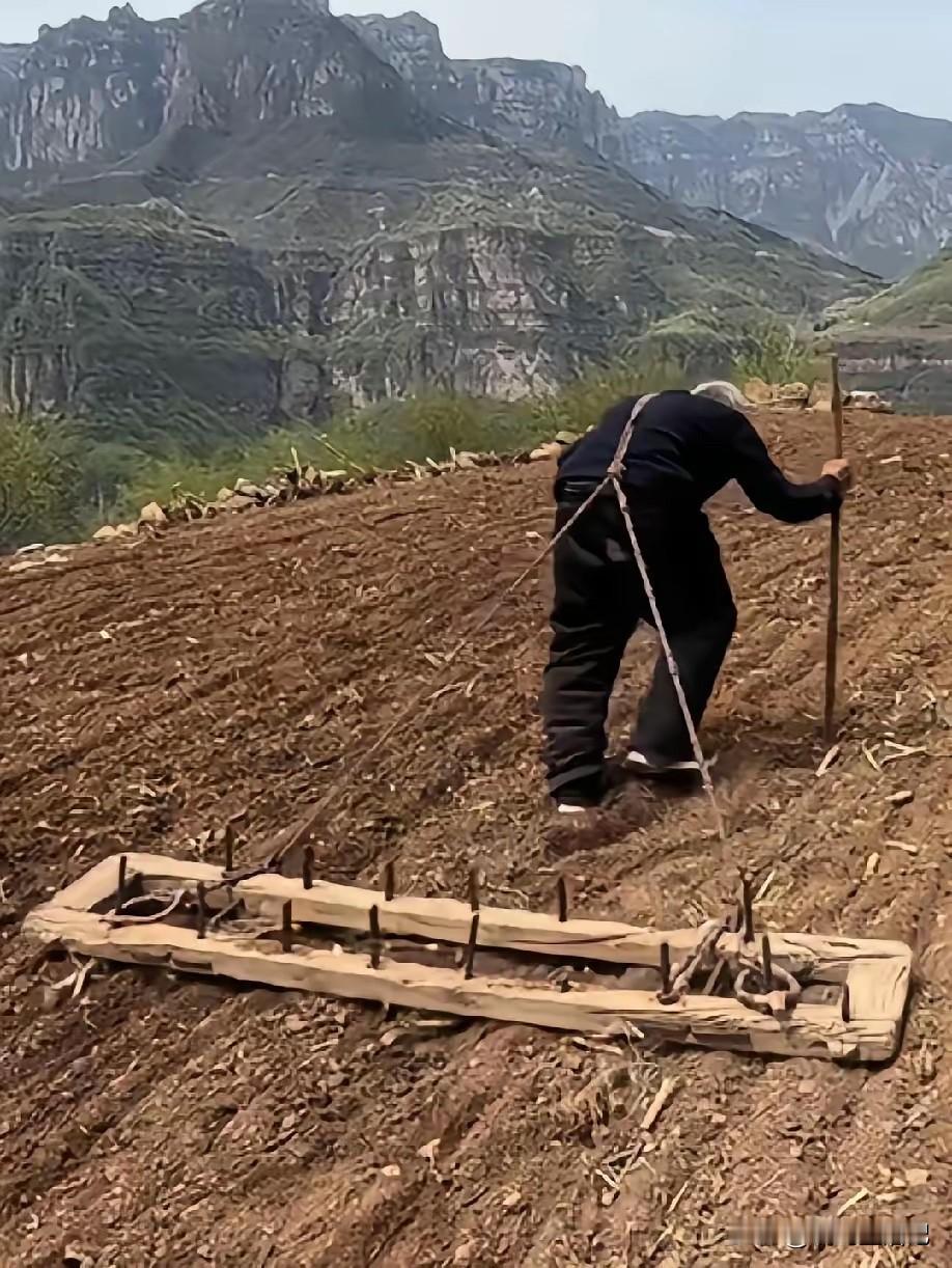 老爷爷太不容易了，好想去帮帮他[流泪]