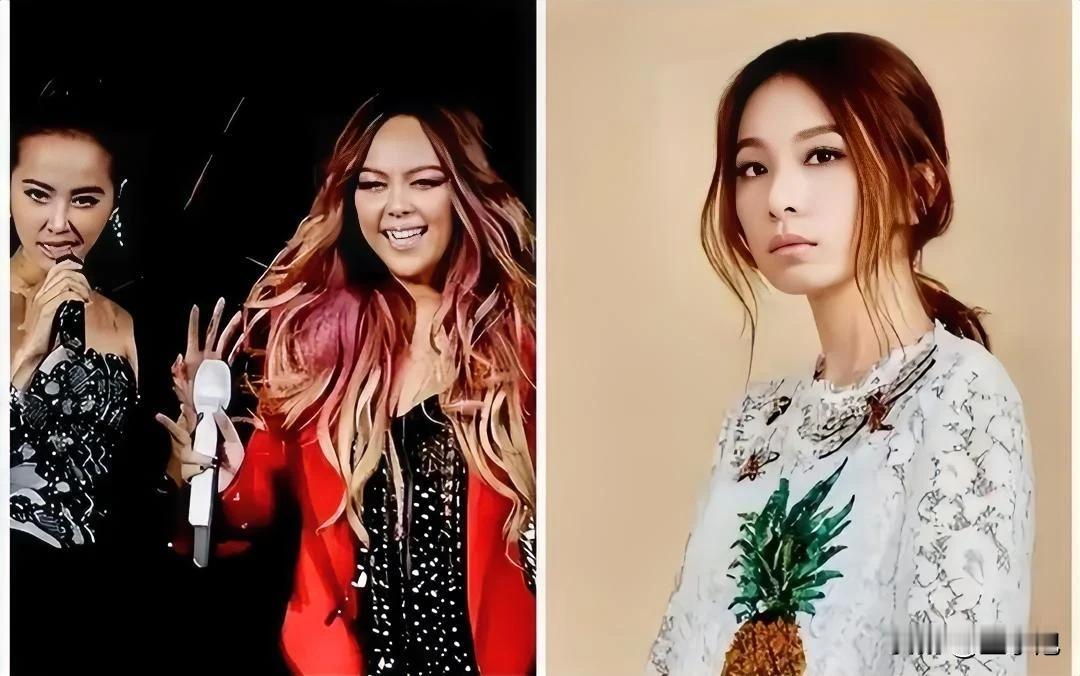 同样是台妹，同样的言行，为什么田馥甄来天津音乐节遭抵制，蔡依林、张惠妹等却数钱到