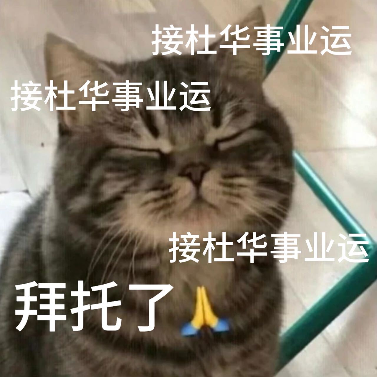 这才是杜华的本业 从被投资人放鸽子到公司上市，杜华的经历比选秀节目更跌宕起伏。建