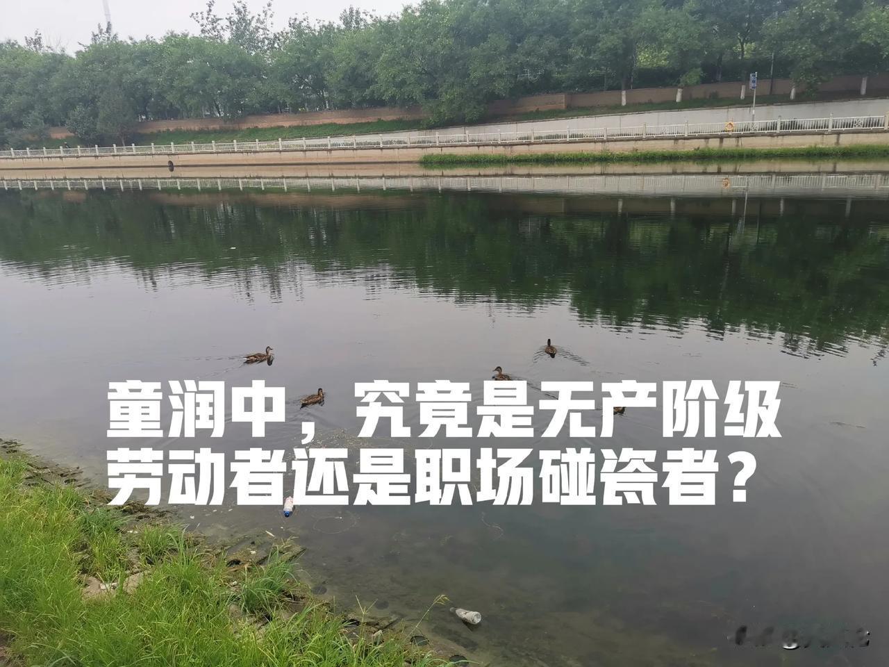 童润中是无产阶级劳动者还是职场碰瓷者？

近年来，职场纠纷频发，引发社会广泛关注