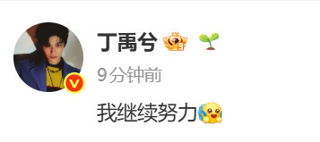 丁禹兮表示我继续努力丁禹兮我继续努力小丁回应有！ 