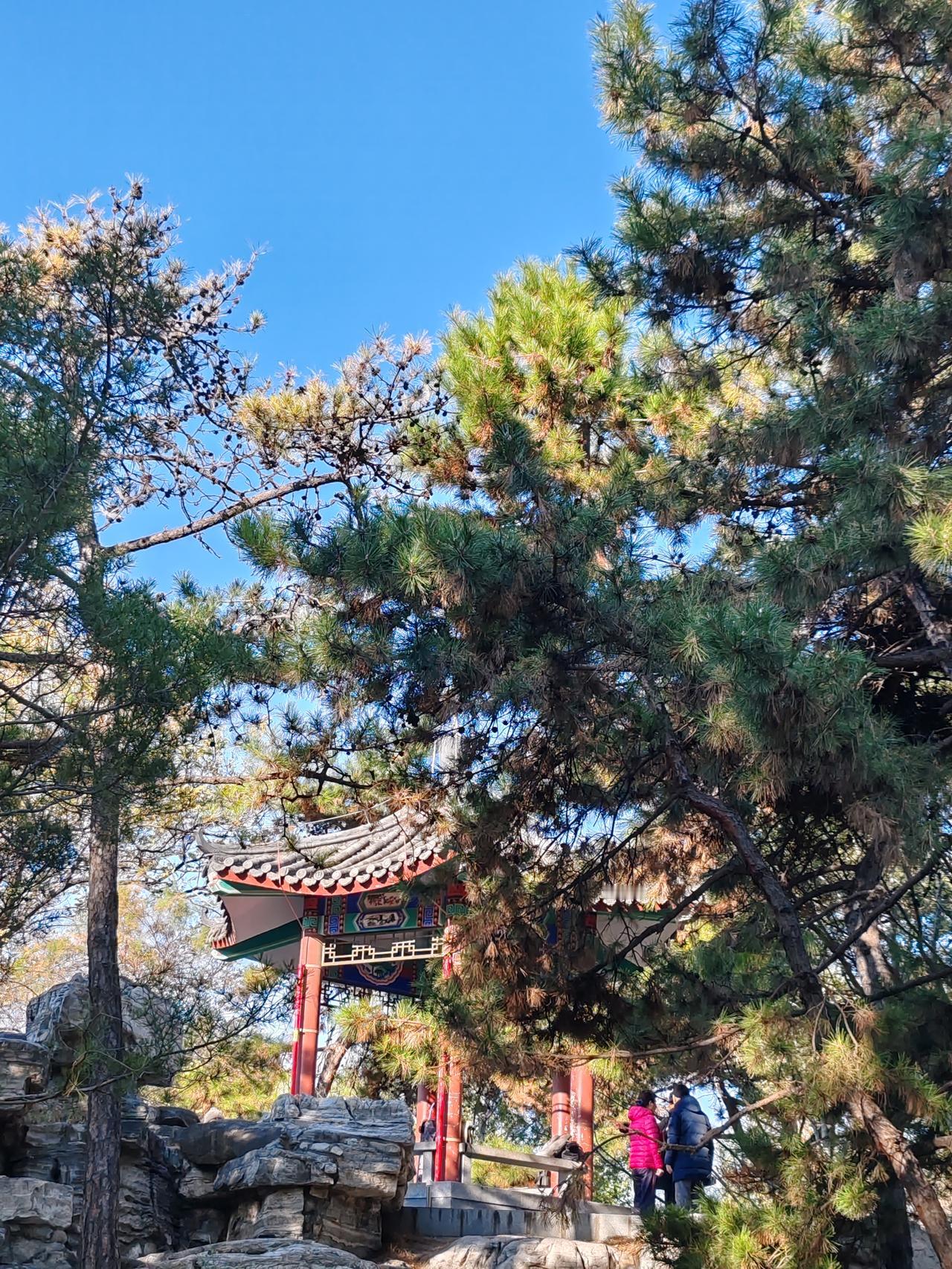 手机随手拍原创图片随手拍。