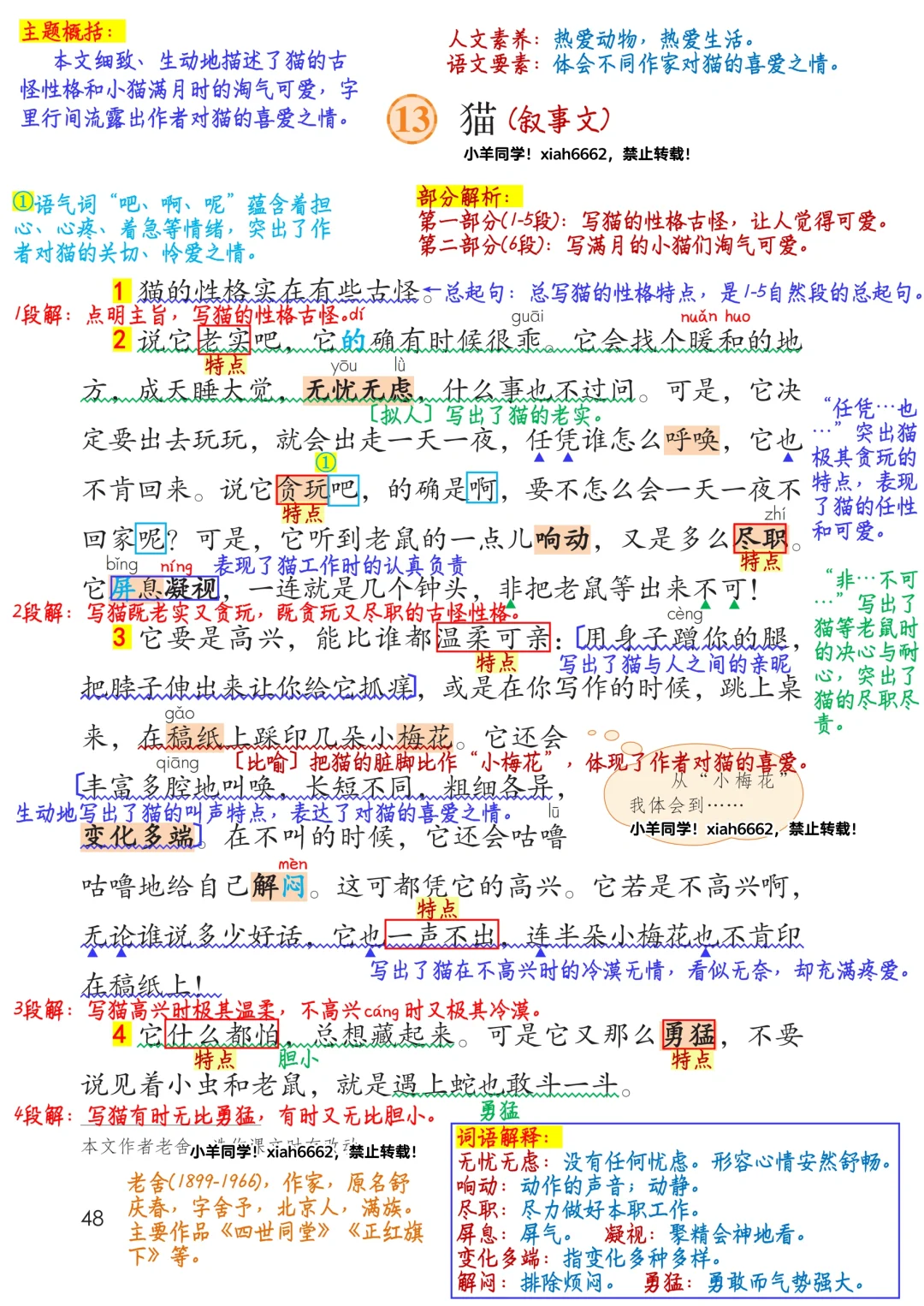 四年级下册✨第13课《猫》学习笔记