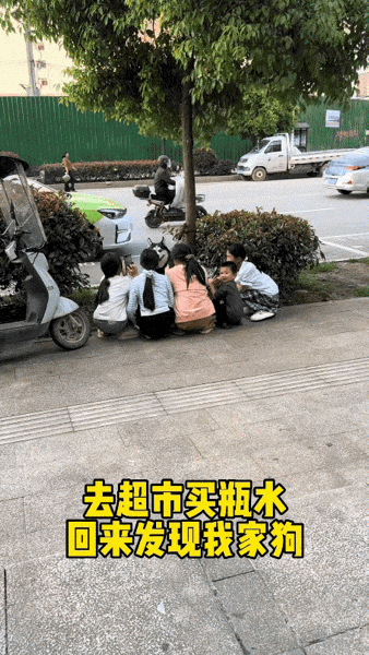 孩子们，来，狗哥给你们讲个故事[大笑][大笑][大笑]