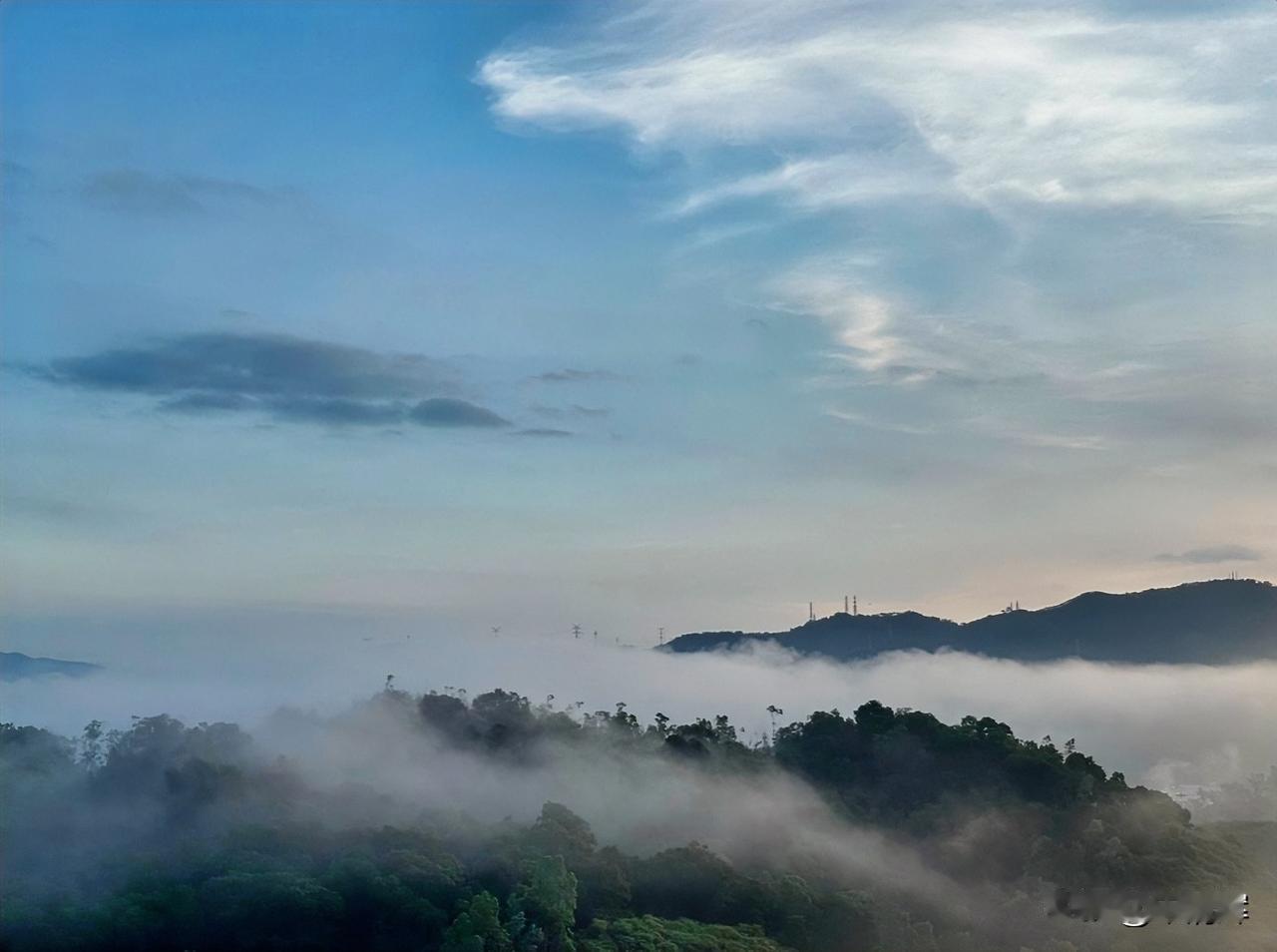 （1452）：孩子，早上好。一场秋雨一场寒，今早深圳气温只有16摄氏度，最高不过