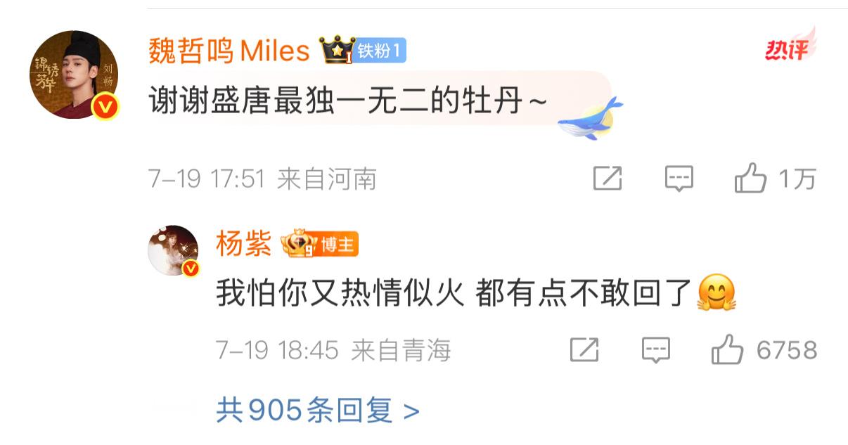 哈哈哈哈哈哈哈好想看杨紫魏哲鸣单开一部剧，就演纯恨，让我们看到爽！！杨紫都有点不