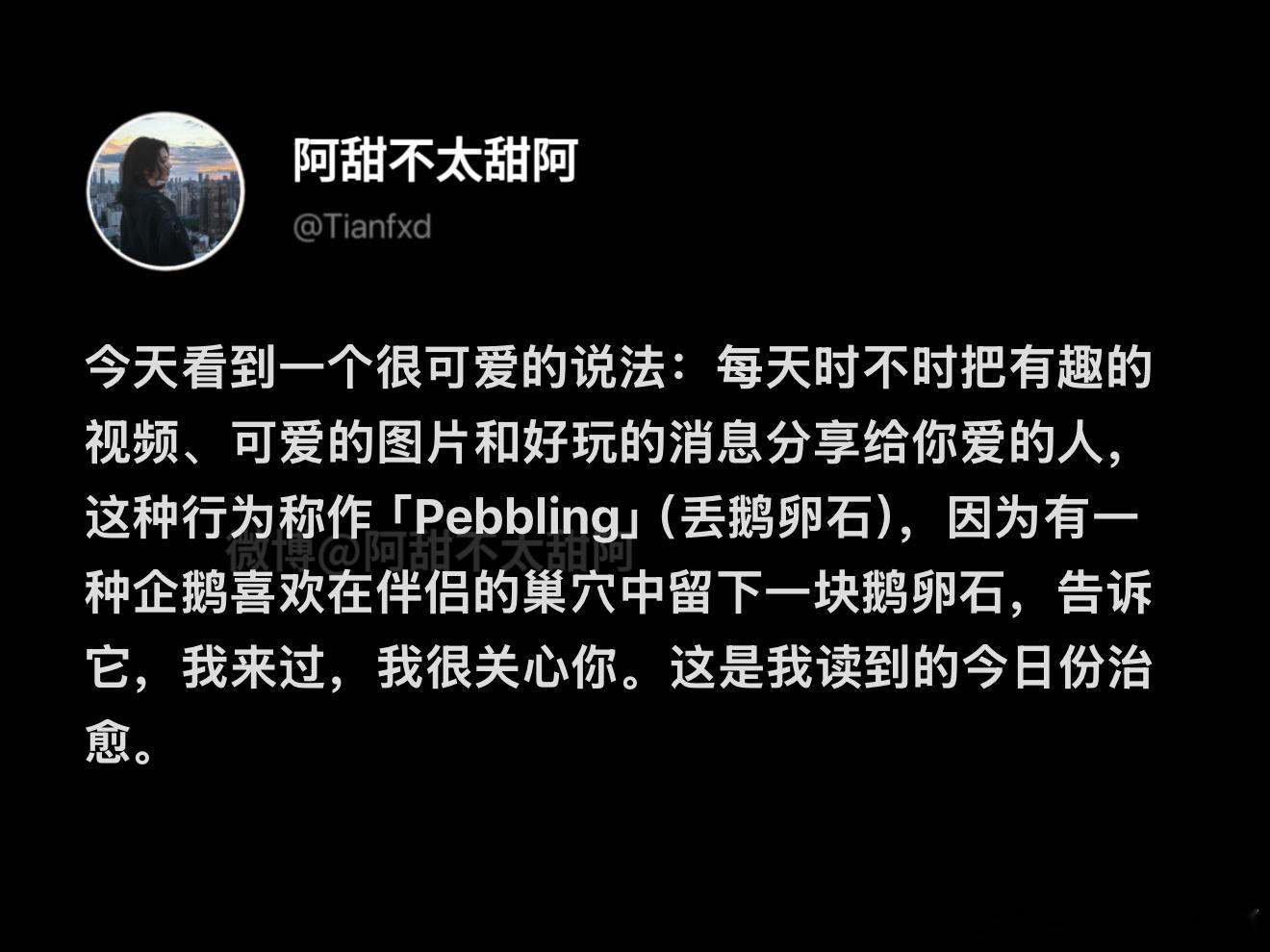这种分享有趣讯息的行为叫「Pebbling」 ​​​