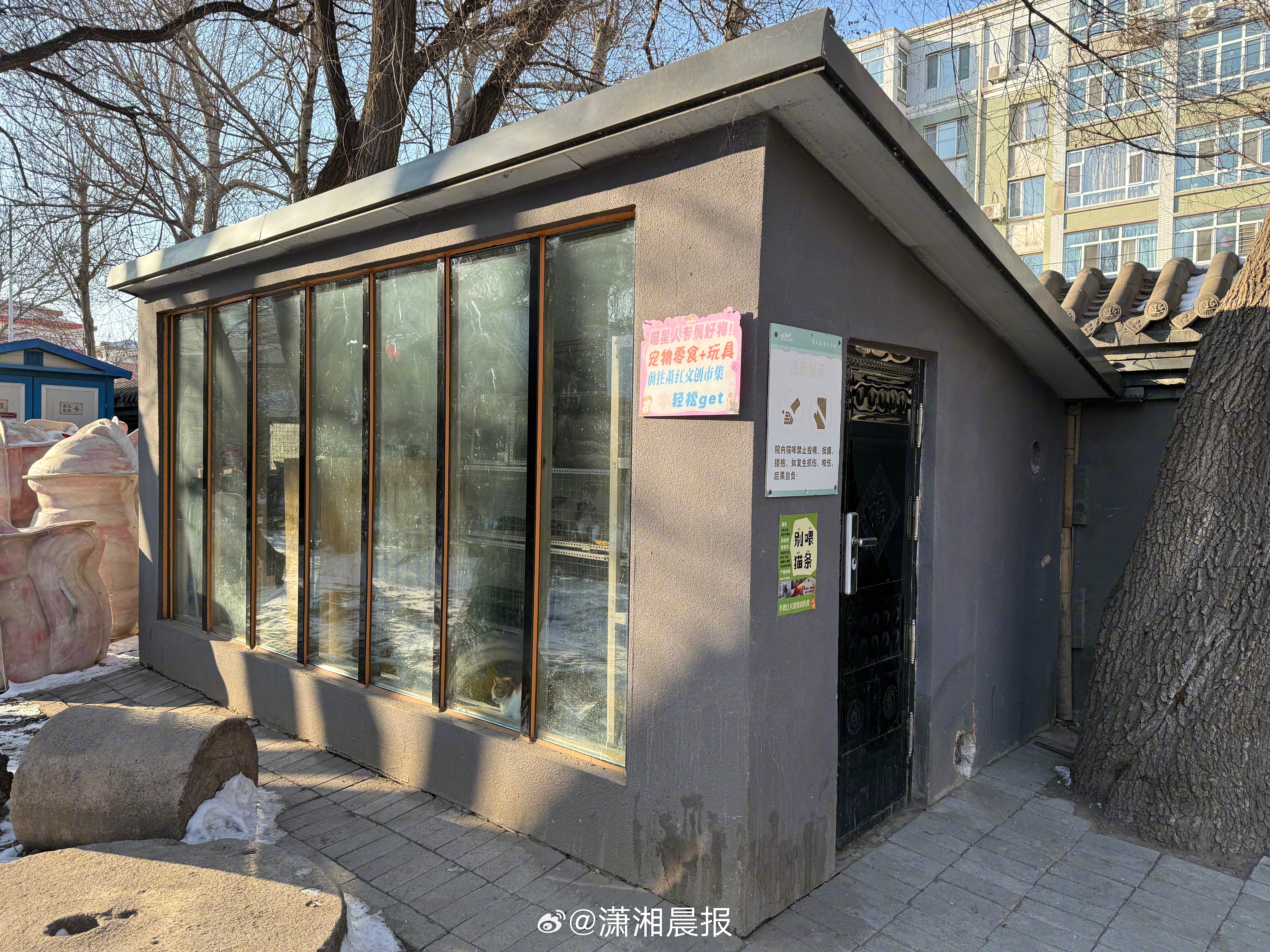 【哈尔滨一#景区收留20多只流浪猫被称免费猫咖#】#讲解员称景区五年流浪猫数量已