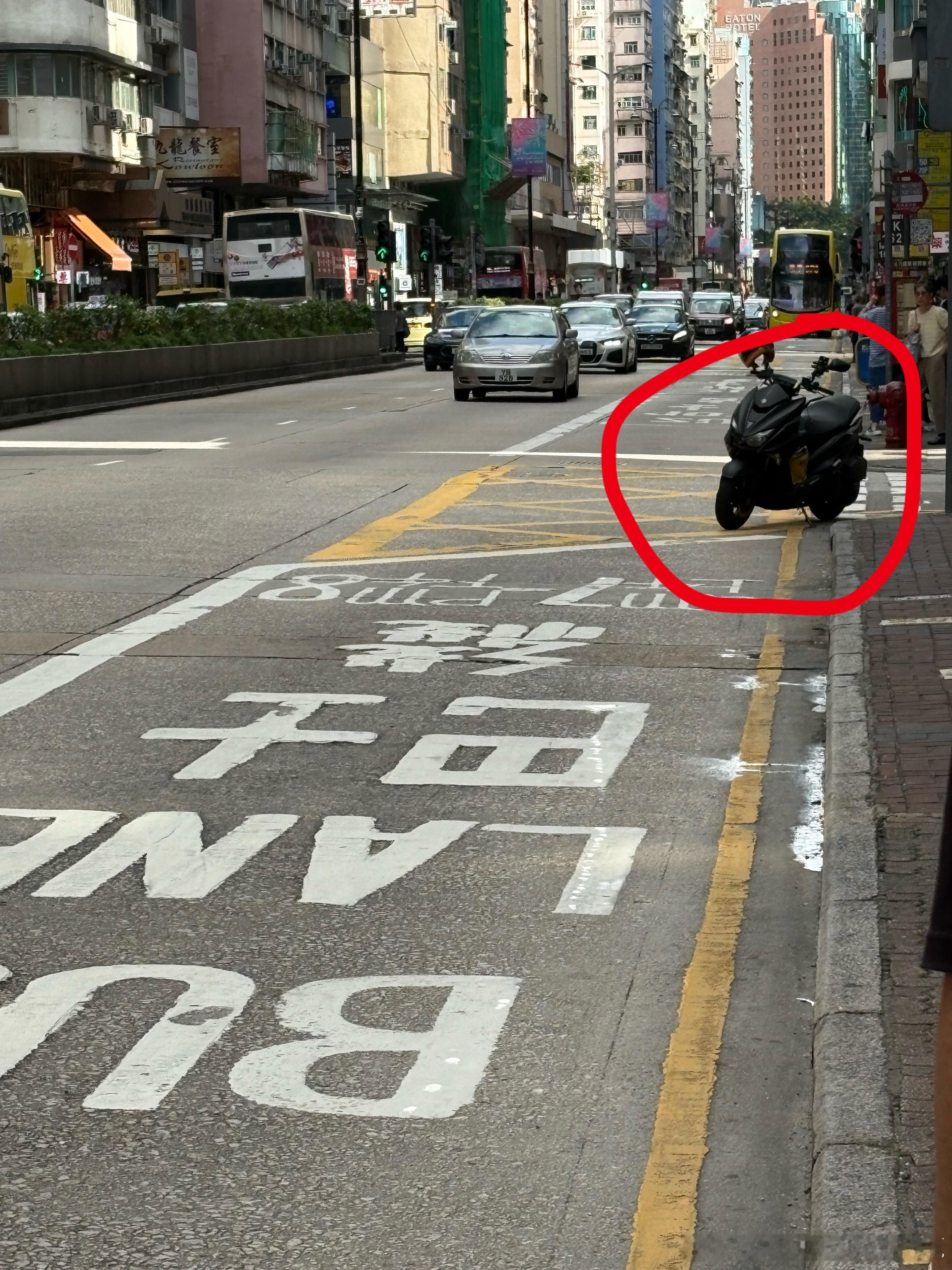 正仆街。。。諸葛臥龍反忽小隊