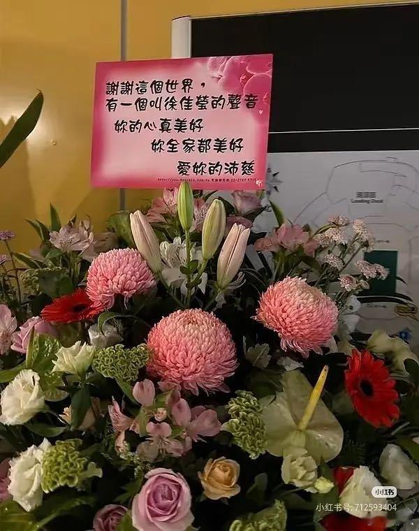 曾沛慈雷霆语言系统曾沛慈说你全家都美好 曾沛慈雷霆语言系统，哈哈哈哈 