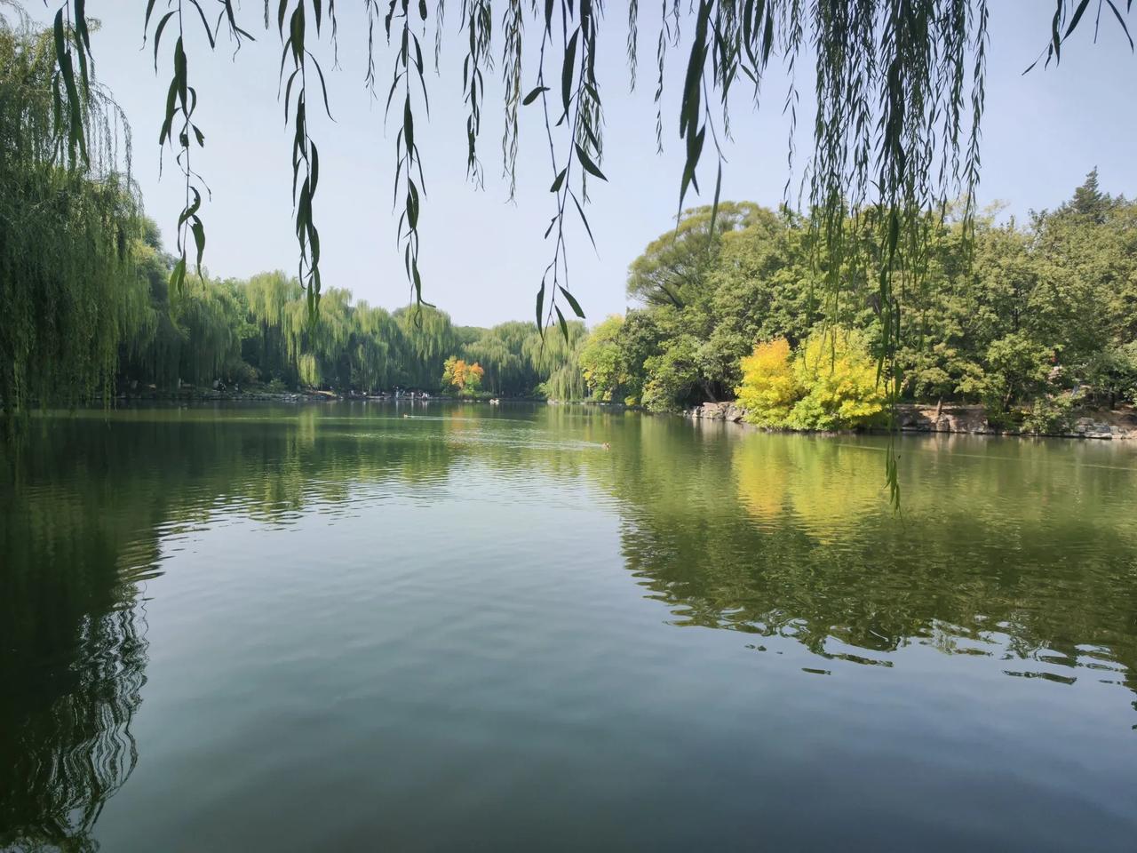 晨练两百个俯卧撑，卷腹，哑铃，正心正念，坚持做长期正确的事