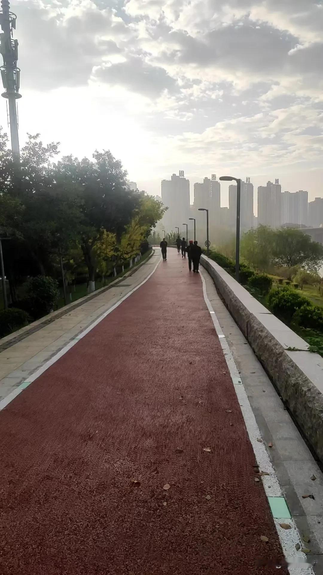 衡阳华新非常宜居，除了田字型的道路成网，还有最重要一点就是绿化率很高…整个华新片