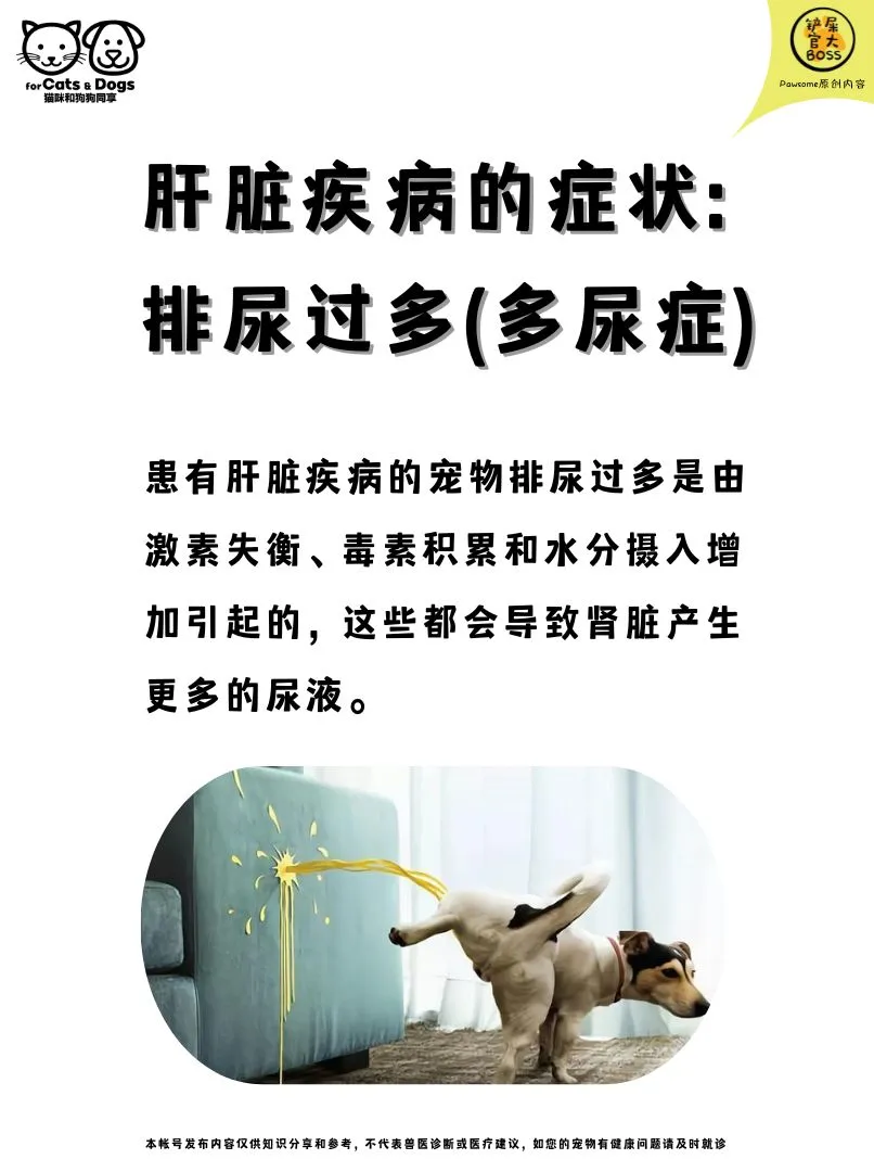排尿过多(多尿症)