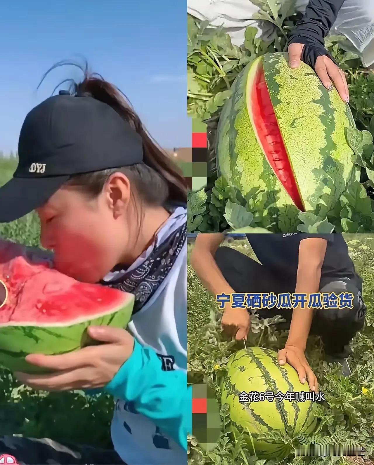 宁夏的西瓜确实好吃，去年街上很多宁夏西瓜，不知道为啥，今年好像少了很多
