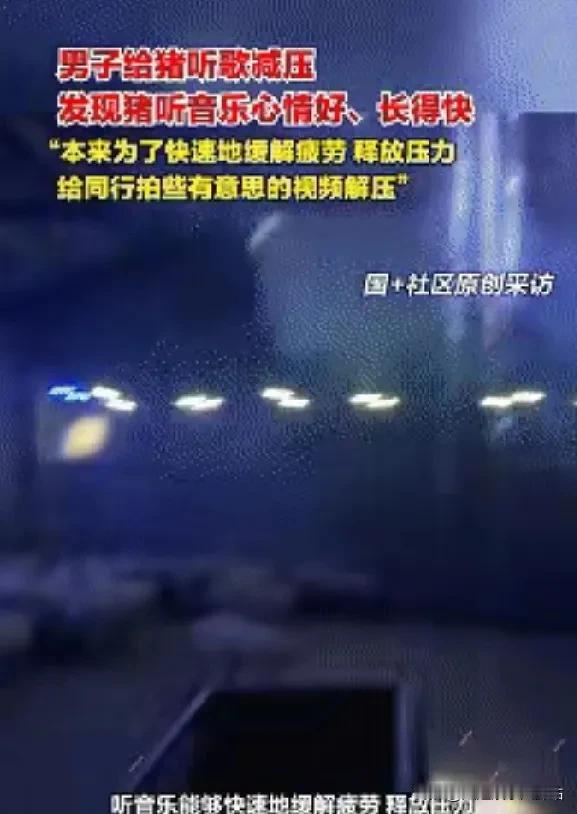 这个人真是个人才！养猪也能这么嗨！竟然在猪圈里唱KTV！音乐一响，黄金万量。
