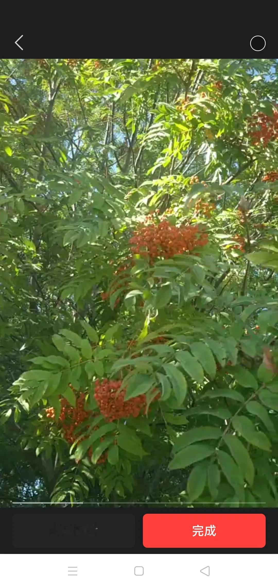 你做的饭狗都不吃 。

去年，老公要我去婆婆家过节，我一到家就钻入厨房，忙忙叨叨