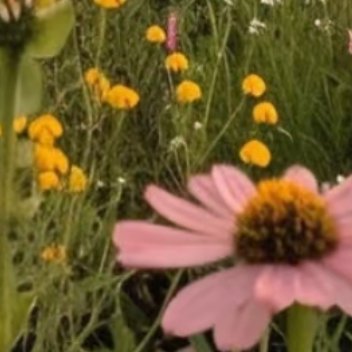 每日一善  每日一善   阳光信用 自己的命运从来都是掌握在自己的手中，好生活在