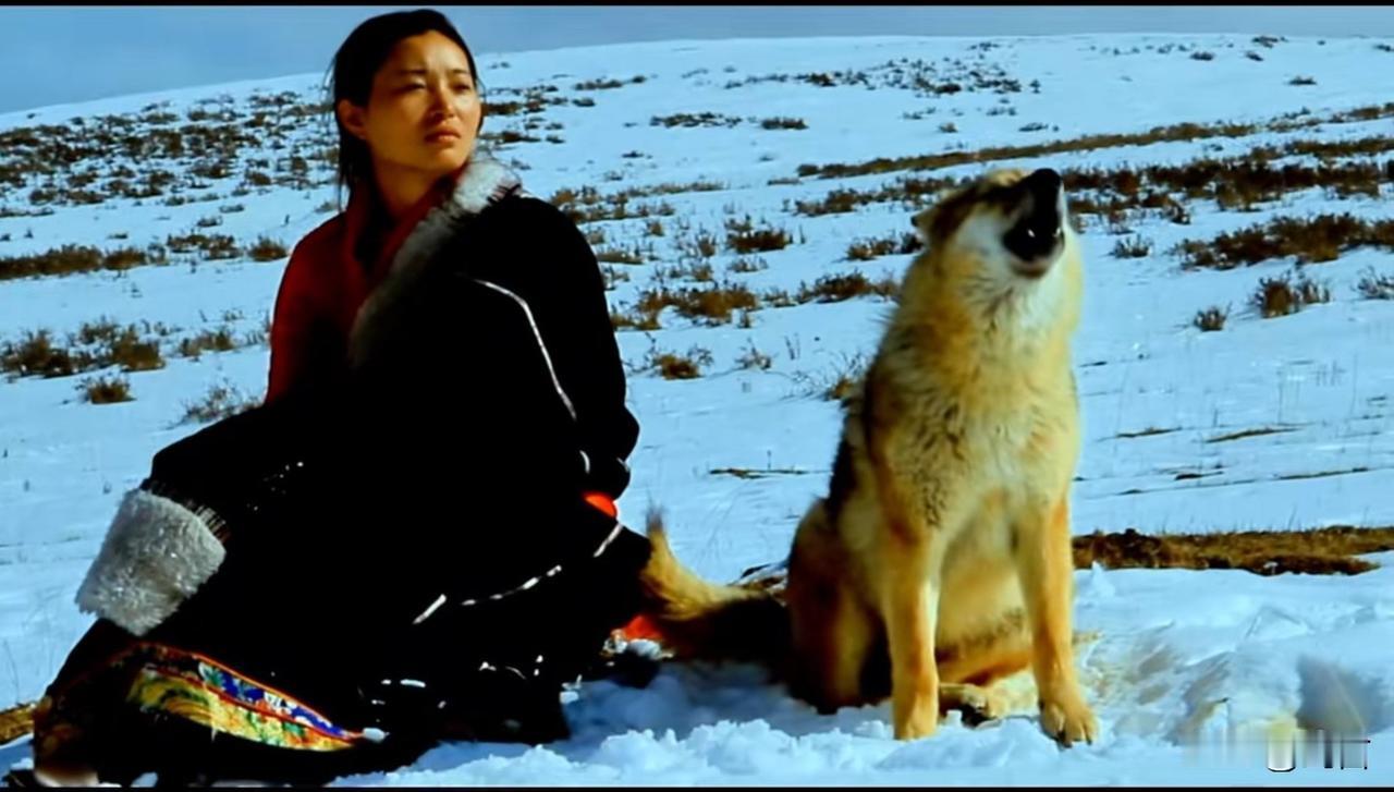 今天看狼王格林和它的人类妈妈之间的故事，深受感动。
万物皆有灵性在这一刻得到了最