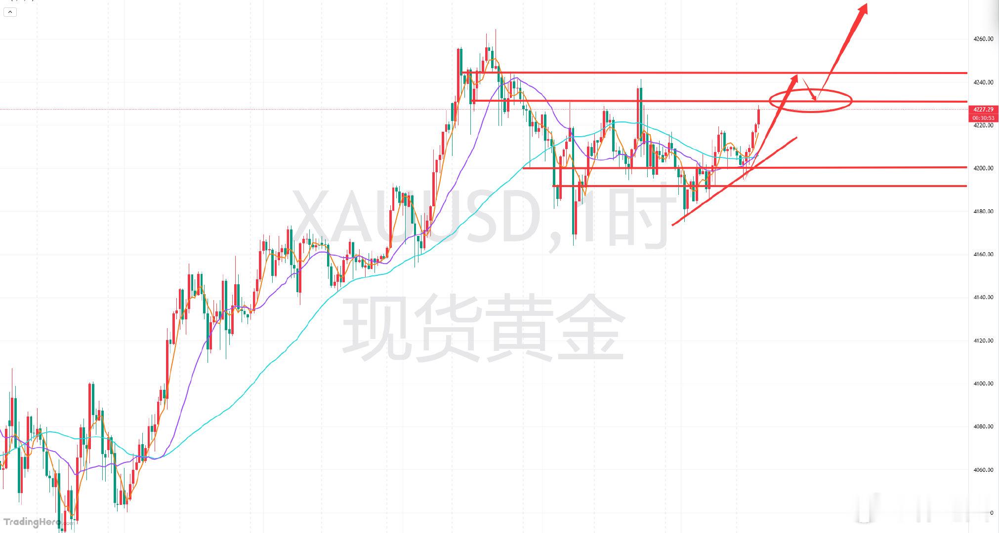 黄金分析及日内操作指引：昨日黄金收取阳十字底线，预示下方支撑较强，今日整体走势会